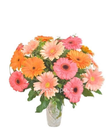 Bouquet di gerbere miste